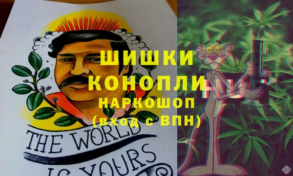стафф Алзамай