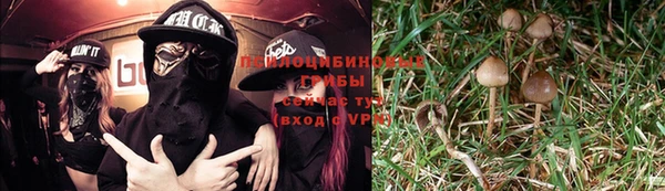 крисы Каменка
