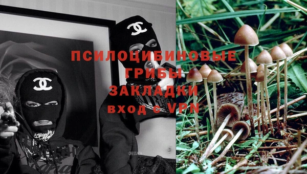 гидра Алексин