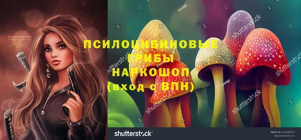 индика Абинск