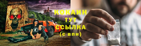 ПСИЛОЦИБИНОВЫЕ ГРИБЫ Заводоуковск