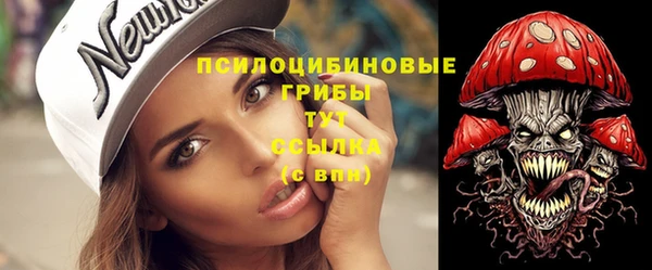стафф Алзамай