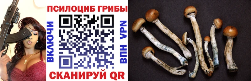 Псилоцибиновые грибы MAGIC MUSHROOMS  продажа наркотиков  Фролово 
