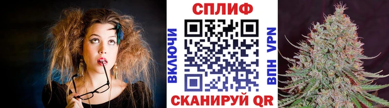 Каннабис сатива Фролово
